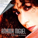 Amanda Miguel - No Me Vas A Olvidar Remix