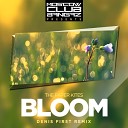 The Paper Kites - Bloom Denis First Remix