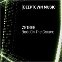 Zetbee - Back On The Ground Radio Edit