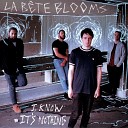 La B te Blooms - Hole In My Head Original Mix