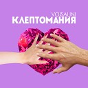VOISALINI - Клептомания promo version 2017