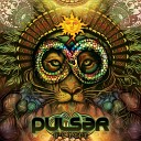 Pulsar Pan Papason - Our Happiness