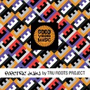 Tru Roots Project - Work Your Magic Original Mix