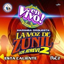 Marimba Orquesta La Voz de Zunil - Despacito En Vivo