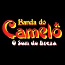 Banda Camel - Mel do Camel Instrumental