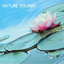 Nature Sounds Nature Music - The Blue Planet Underwater Recording