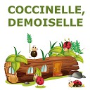 Coccinelle Demoiselle Au Claire De La Lune A La Claire… - Coccinelle demoiselle orquestre