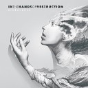 In The Hands Of Destruction - Warriors