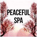 Tranquility Day Spa Music Zone - Essential Spa Relaxation