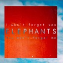 Elephants - I Still Remember