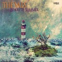 The Vals - Mr Blue Sky