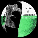 Narciso Gerundino - Harmony Original Mix