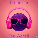 FederFunk - You Want It Original Mix