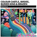 Colour Castle Birdee Buried King Brazen - Wasted Funk Original Mix