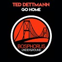 Ted Dettman Borce Panov - Go Home A K O Remix