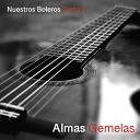 Almas Gemelas - Historia de un Amor