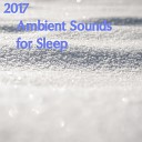Sleep Baby Sleep Zen Meditation and Natural White Noise and New Age Deep Massage Lullabies for… - Thunderstorm