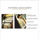 The Peter Malick Group - Heart Of Mine