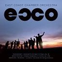 East Coast Chamber Orchestra - Chamber Symphony in C minor Op 110a IV Largo