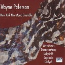 New York New Music Ensemble - Diptych Ii Odyssey