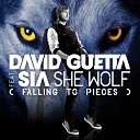 David Guetta feat Sia She Wolf - A shadow of dark a pastA past in these liesA way you have doneA past and a chaseI want to be goneLike a wolf a…