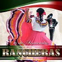 Just a little taste of Mexican Music Vol 2 - Musica de la Danza de los Viejitos Inchapikua