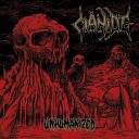 Cianide - Serpent s Wake