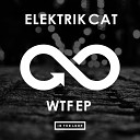 Electrik Cat - WTF Original Mix