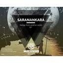 Saranankara - Beings From Another Planet Original Mix