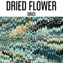 Dried Flower - Manning