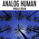 Analog Human - Vanilla