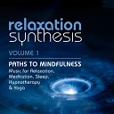 Relaxation Synthesis - Sleep Beneath the Stars