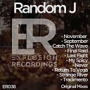 Random J - Return To Vega Original Mix