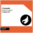 Pandastic - What I Need Original Mix