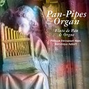 Dominique Aubert Philippe Emmanuel Haas - Sonata in D Major Z 850 III Allegro ma non…