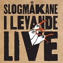Slogm kane - The Parting Glass Live