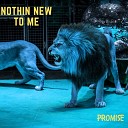 Promise - Nothing New To Me