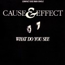 Cause Effect - What Do You See Arabian House Mix
