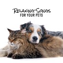 Pet Music Academy - Anxiety Relief