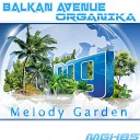 Balkan Avenue - Organika Original Mix