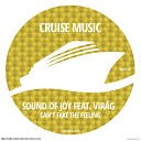 Sound Of Joy Vira g - Can t Fake The Feeling Diego Auguanno Mix