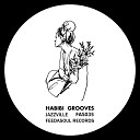Habibi Grooves - Jazzville Original Mix