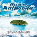 Waves Of Kaipoona - Art of Silence