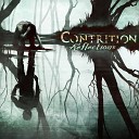 Contrition - In Distant Lights