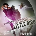Matthew Bandy Aphrodisiax feat Adeola Ranson - Little Bird Dub