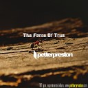 Petter Preston - Intro Part Original Mix