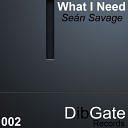 Sean Savage - What I Need Original Mix