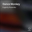 Evgeniy Kosenko - Dance Monkey