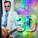 Владимир Левкин - Спасибо Вам