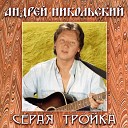 Андрей Никольский - Что же ты, Андрюша?!